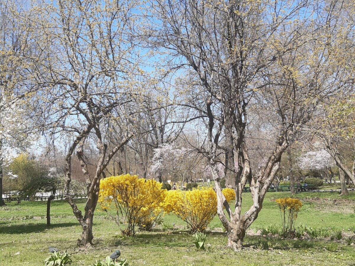 things to do Bucharest spring