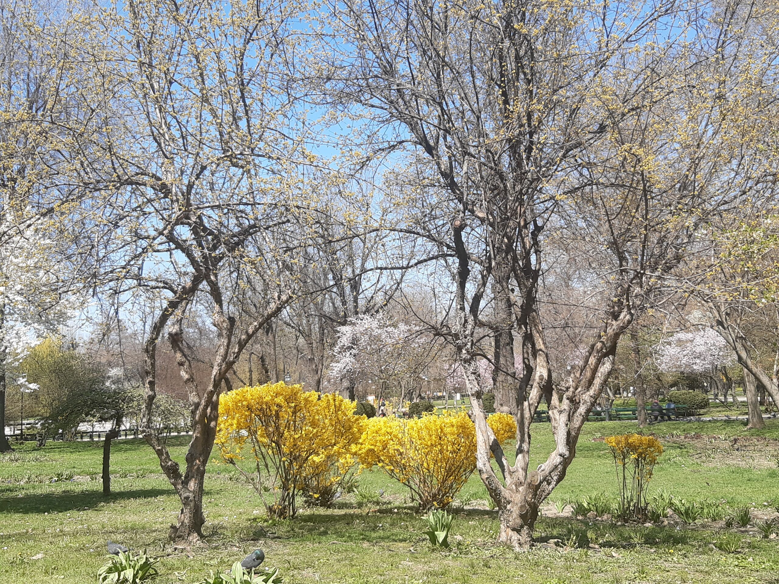 things to do Bucharest spring