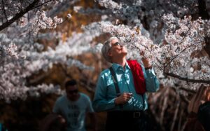 attractions in Bucharest botanical garden